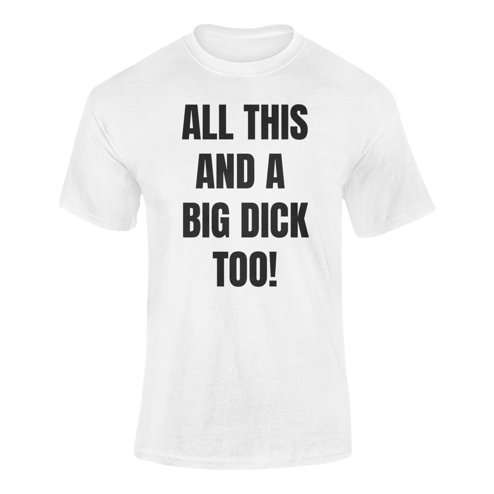 Level Thirty 3 | All This And A Big Dick Too! | Funny T-Shirt – Level  Thirty3