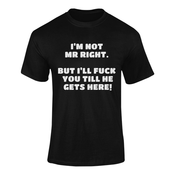 I'm Not Mr Right. But I'll Fuck You Till He Gets Here -  T-Shirt