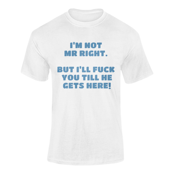 I'm Not Mr Right. But I'll Fuck You Till He Gets Here -  T-Shirt