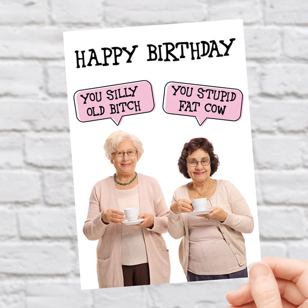 You Silly Old Bitch,  You Stupid Fat Cow - Birthday Card