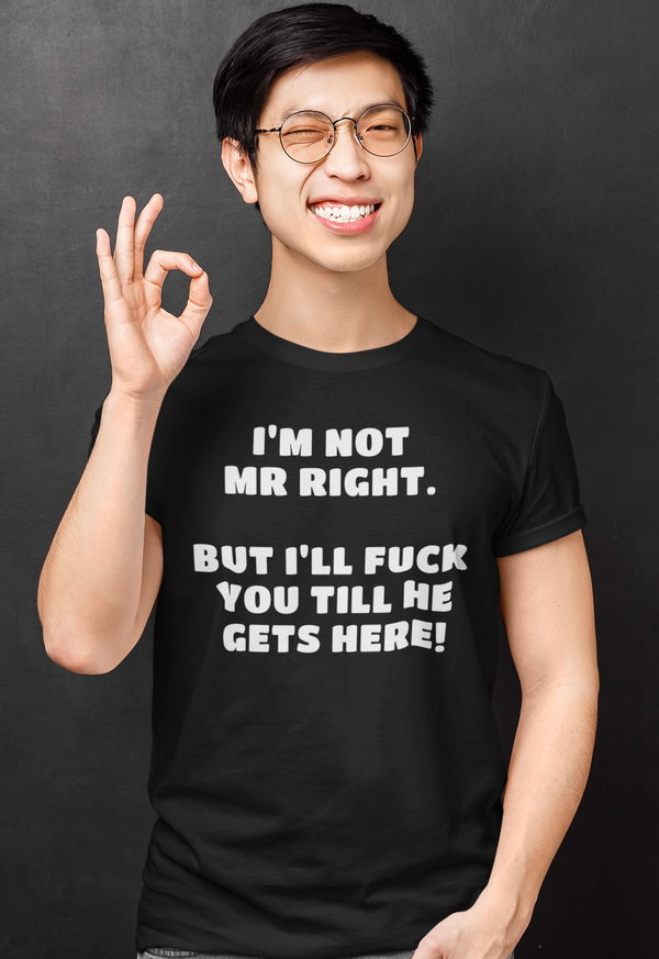 I'm Not Mr Right. But I'll Fuck You Till He Gets Here -  T-Shirt