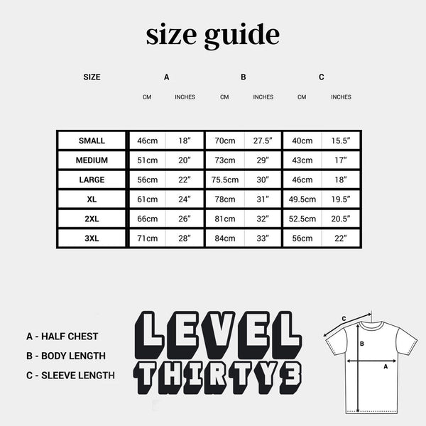 Band T-Shirt - T-Shirt T- Shirt Level Thirty 3 