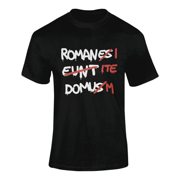 Romanes Eunt Domus Romani ITE Domum - T-Shirt T- Shirt Level Thirty 3 S Black 